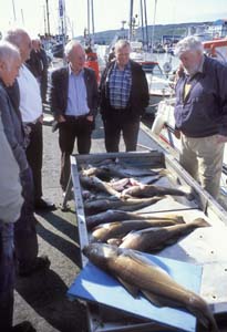 Faroes-02-007