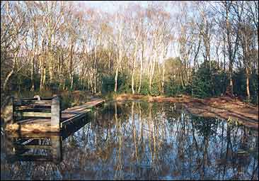 Wilmslow Pier