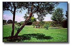 Morley Green