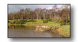 Ross Mere