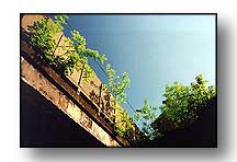 Station Bridge